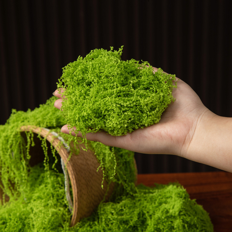 200g 영원한 생명 이끼 DIY 공예 잔디 인공 녹색 - Sphagnum Moss Dry 리뷰 및 가격