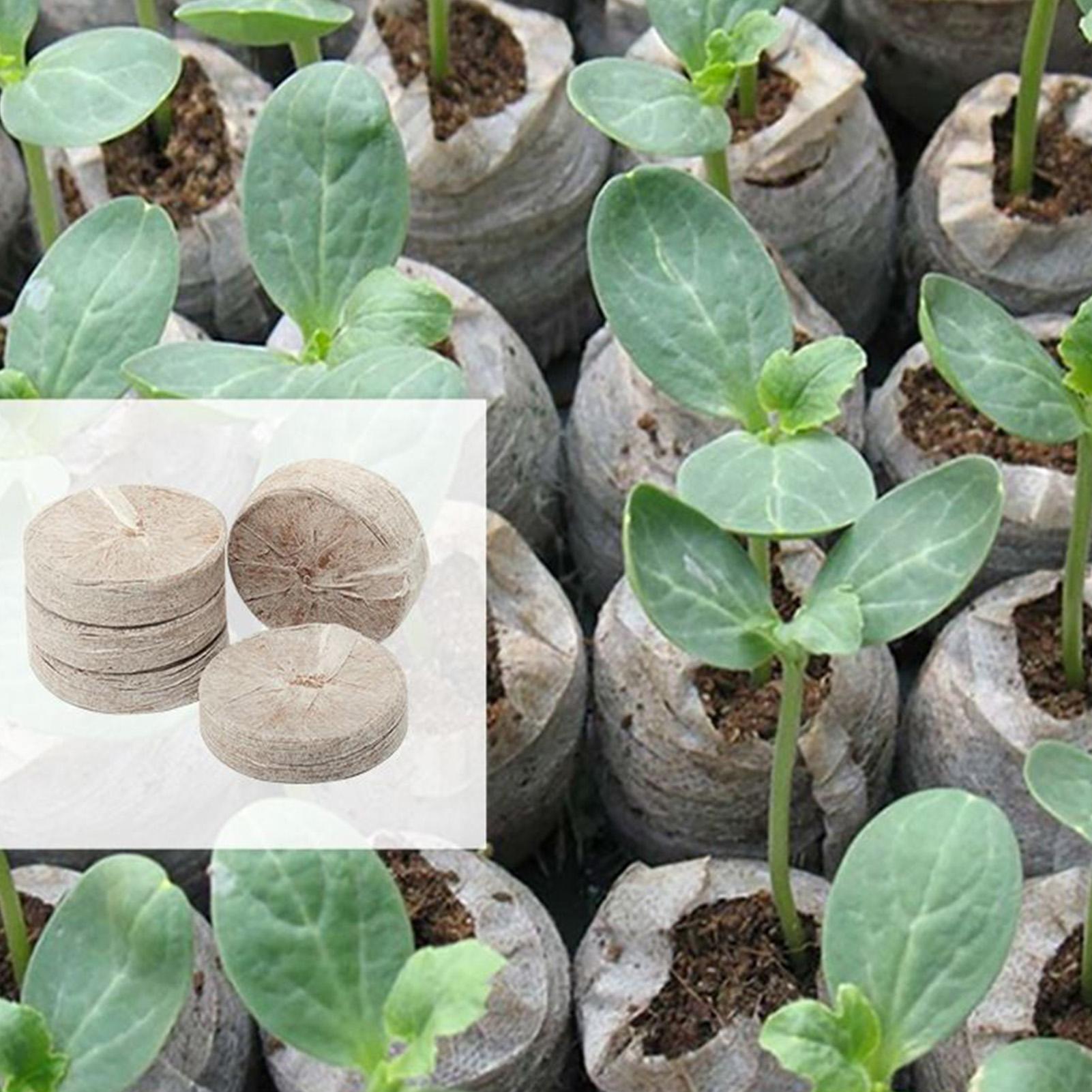100개 포트팅 믹스 트레이 30mm 토양 펠릿 부직포 - Peat Pellet Tray 리뷰 및 가격