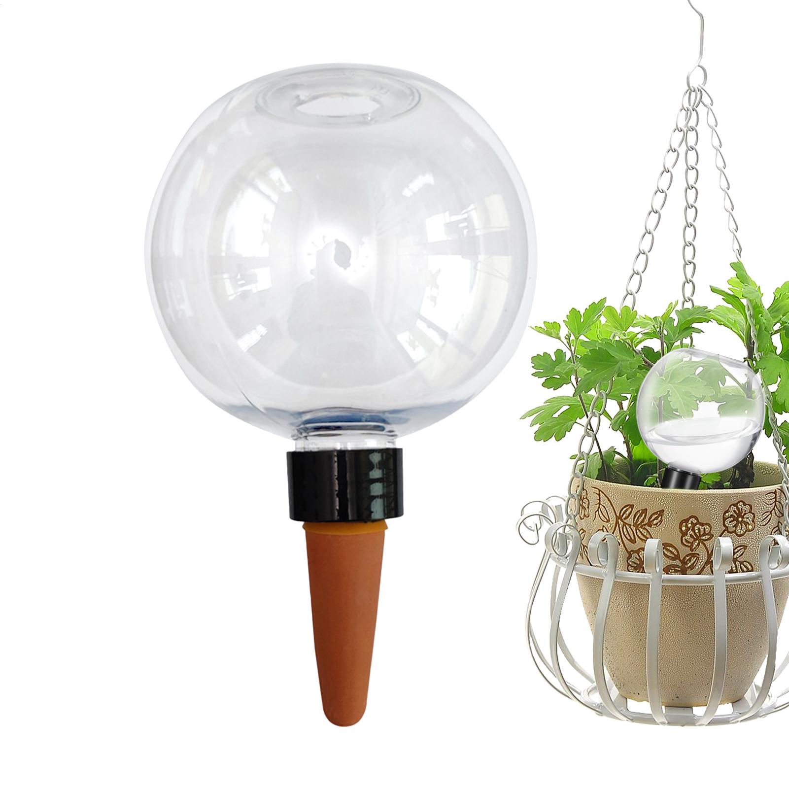 500ml 자동 식물 급수 구슬 유리 글로브 플랜터 삽 - Self Watering Insert 리뷰 및 가격